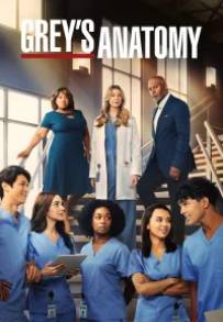 Grey's Anatomy (2005) streaming